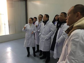 数字赋能食药安全 内蒙古构建智慧监管新格局