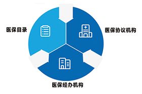 指尖轻点 畅享互联网+医疗服务——医保查询缴费与药品信息服务一站通